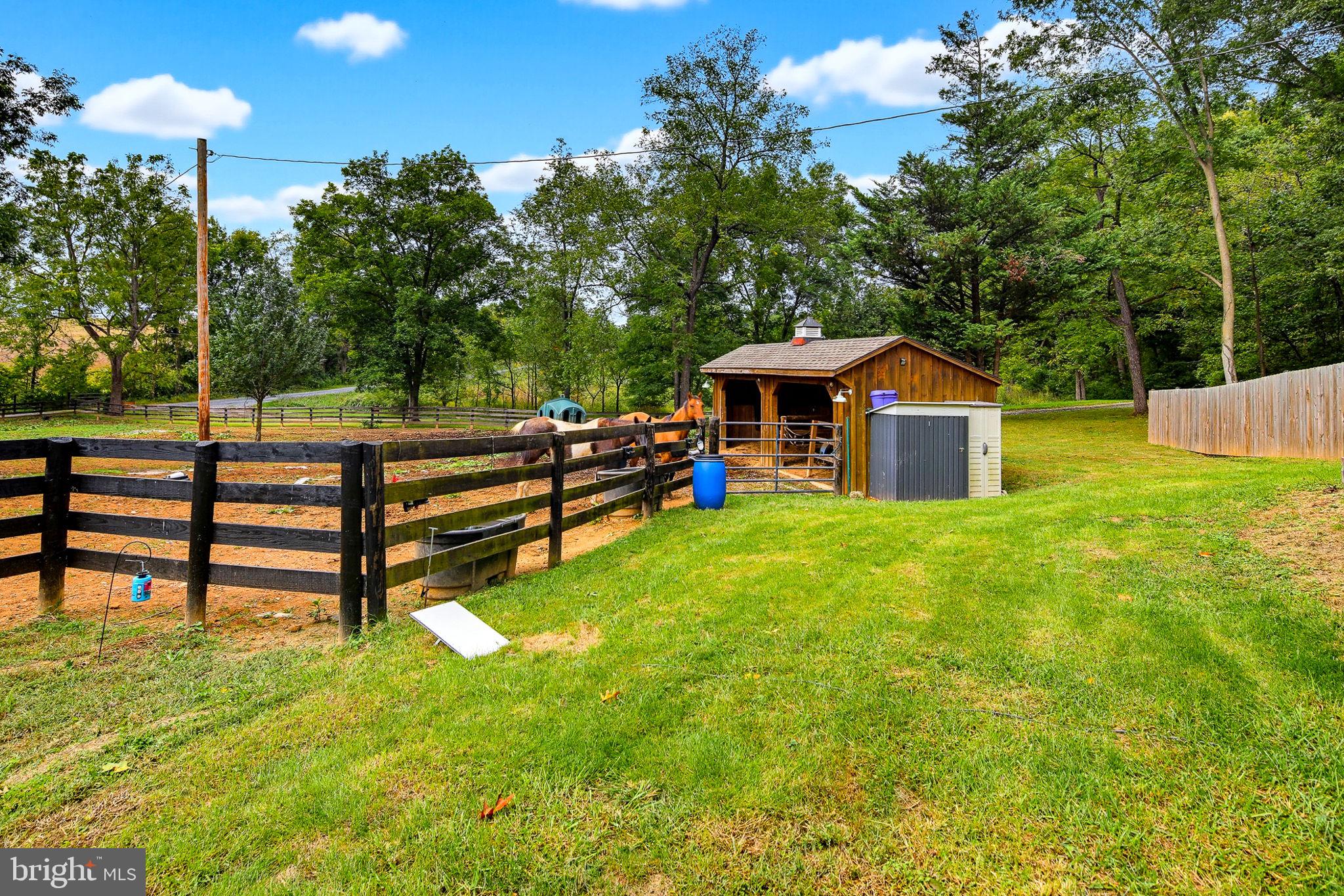 1238 Shepherds Mill Road Berryville, VA 22611 - Photo 32 of 54 Ride-in shed for up to 5 horses