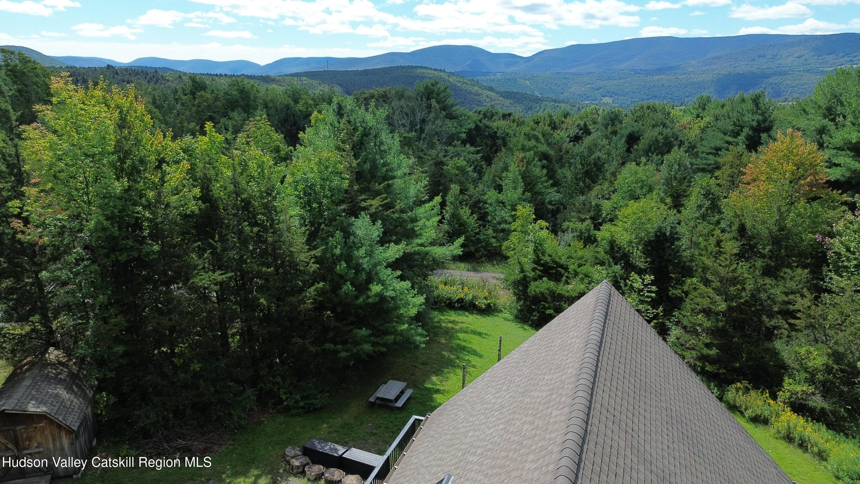 93 Alpine View Road Prattsville, NY 12468 - Photo 6 of 59 Knittel aerial 7