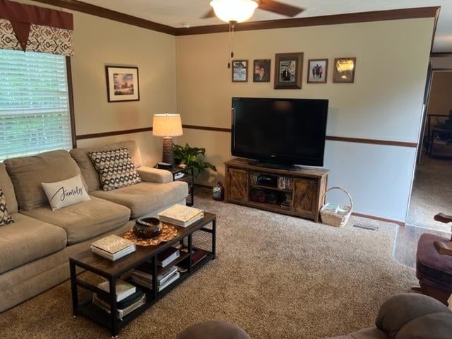 2665 Lester Bell Road Brantley, AL 36009 - Photo 8 of 48 Gallery Image 8
