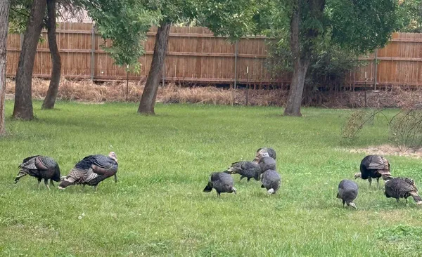 $729,000 | 319 Snowmoody Way, Ontario, OR 97914