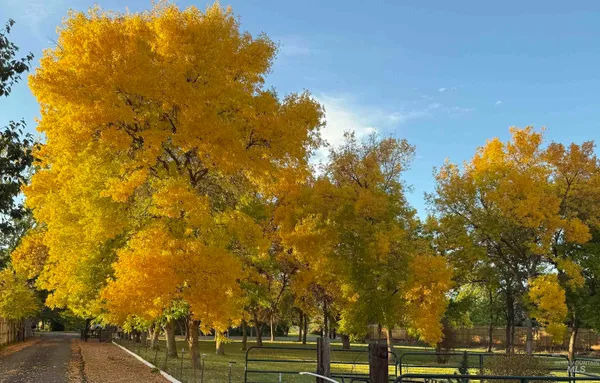 $729,000 | 319 Snowmoody Way, Ontario, OR 97914