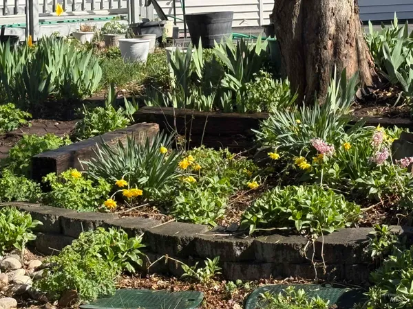 $729,000 | 319 Snowmoody Way, Ontario, OR 97914