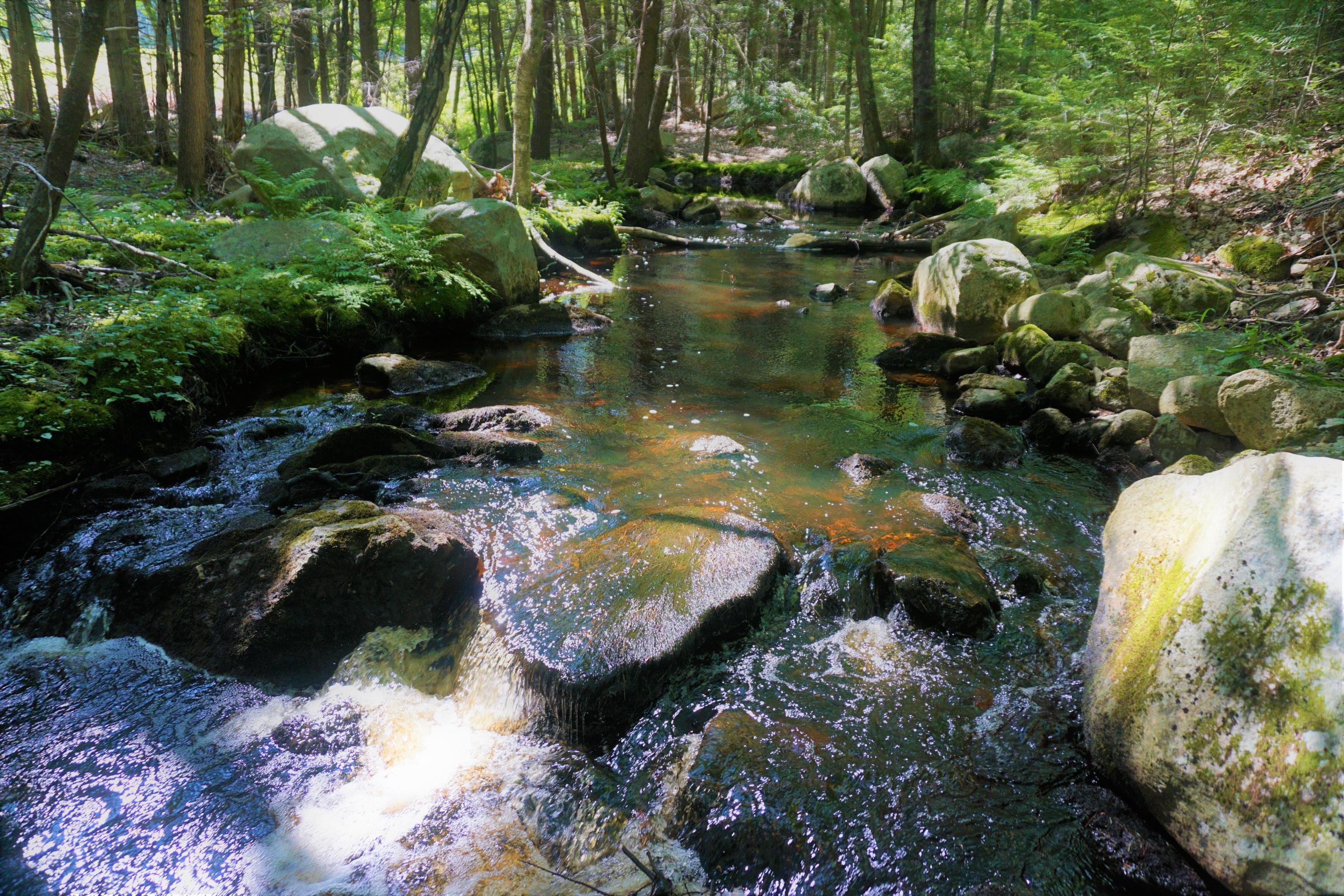 159 Clay Hill Road Cape Neddick, ME 03902 - Photo 20 of 23 goodwin (12)