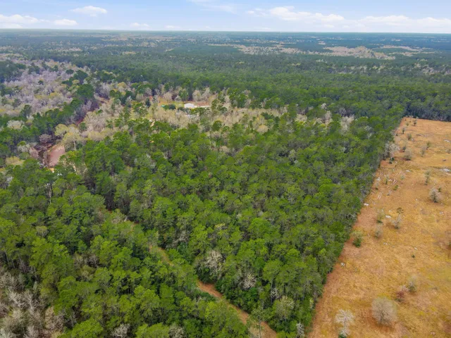 a view of a lake with a mountain