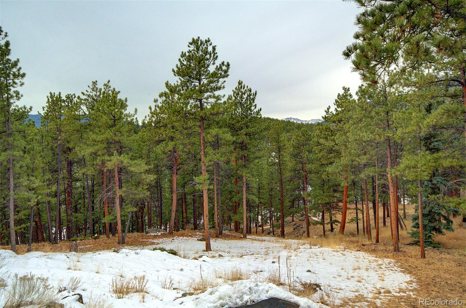 204 Greystone Road Evergreen, CO 80439 - Photo 32 of 39 Gallery Image 32