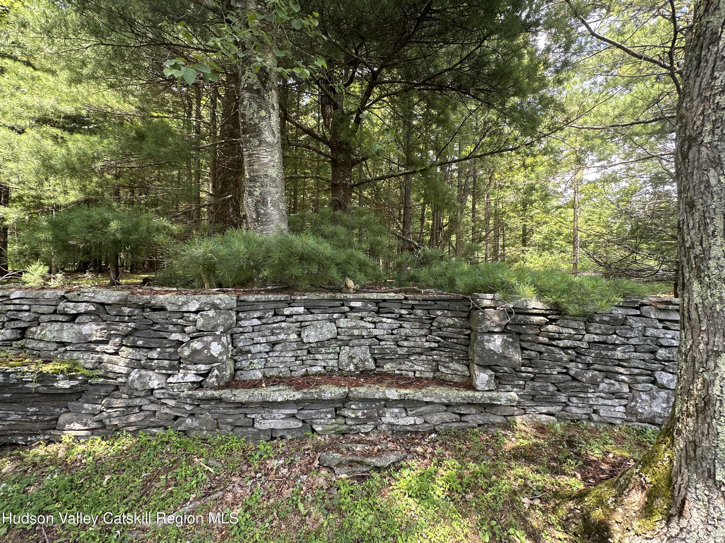 13 Heyden Road Shokan, NY 12481 - Photo 14 of 37 a view of a yard with large trees