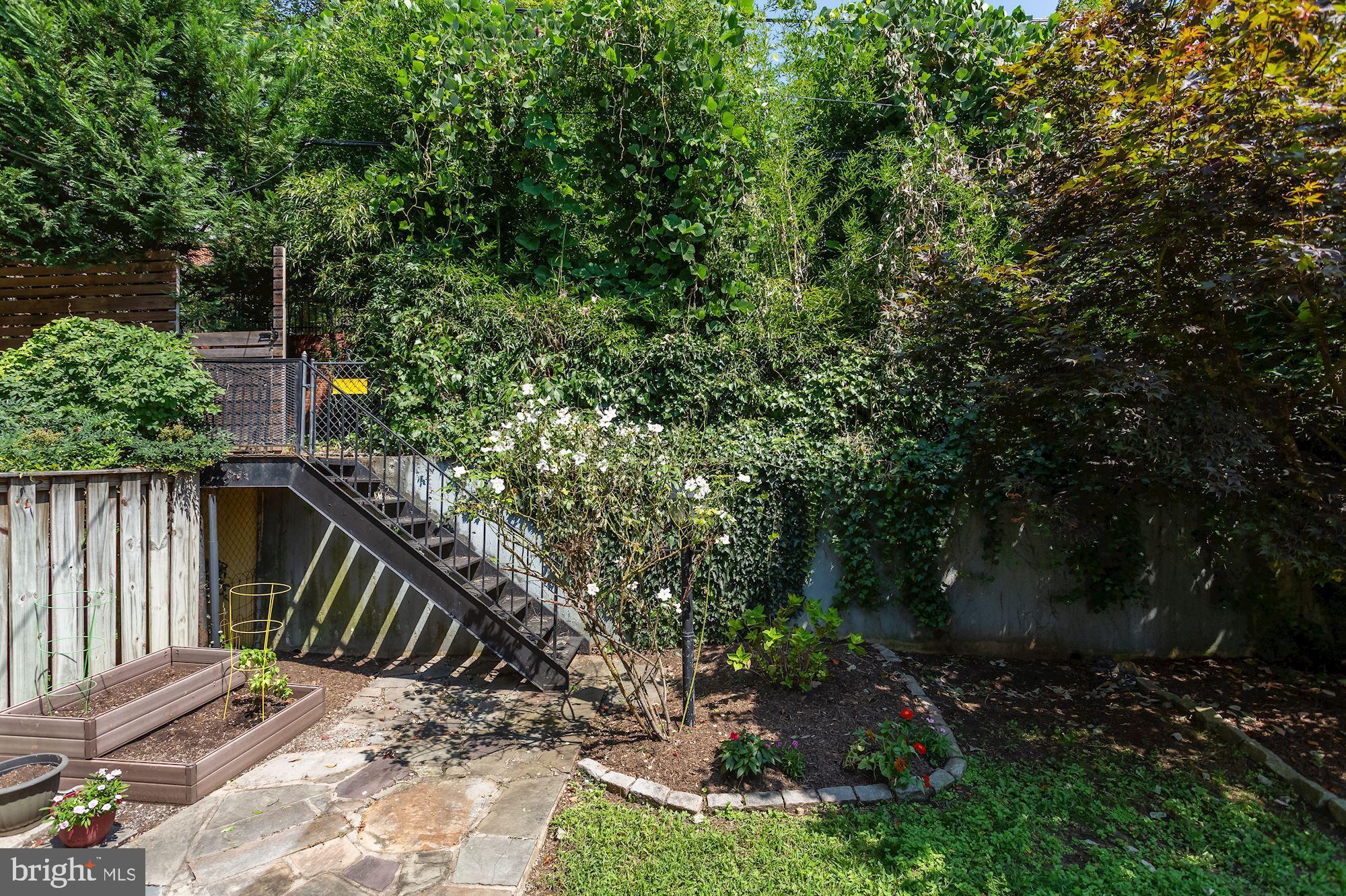 2121 Tunlaw Road Northwest Washington, DC 20007 - Photo 33 of 35