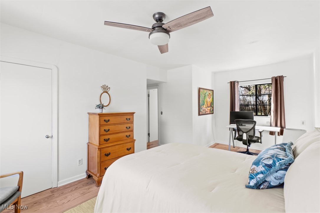 2364 Queenston Road Cleveland, OH 44118 - Photo 20 of 32 Gallery Image 20