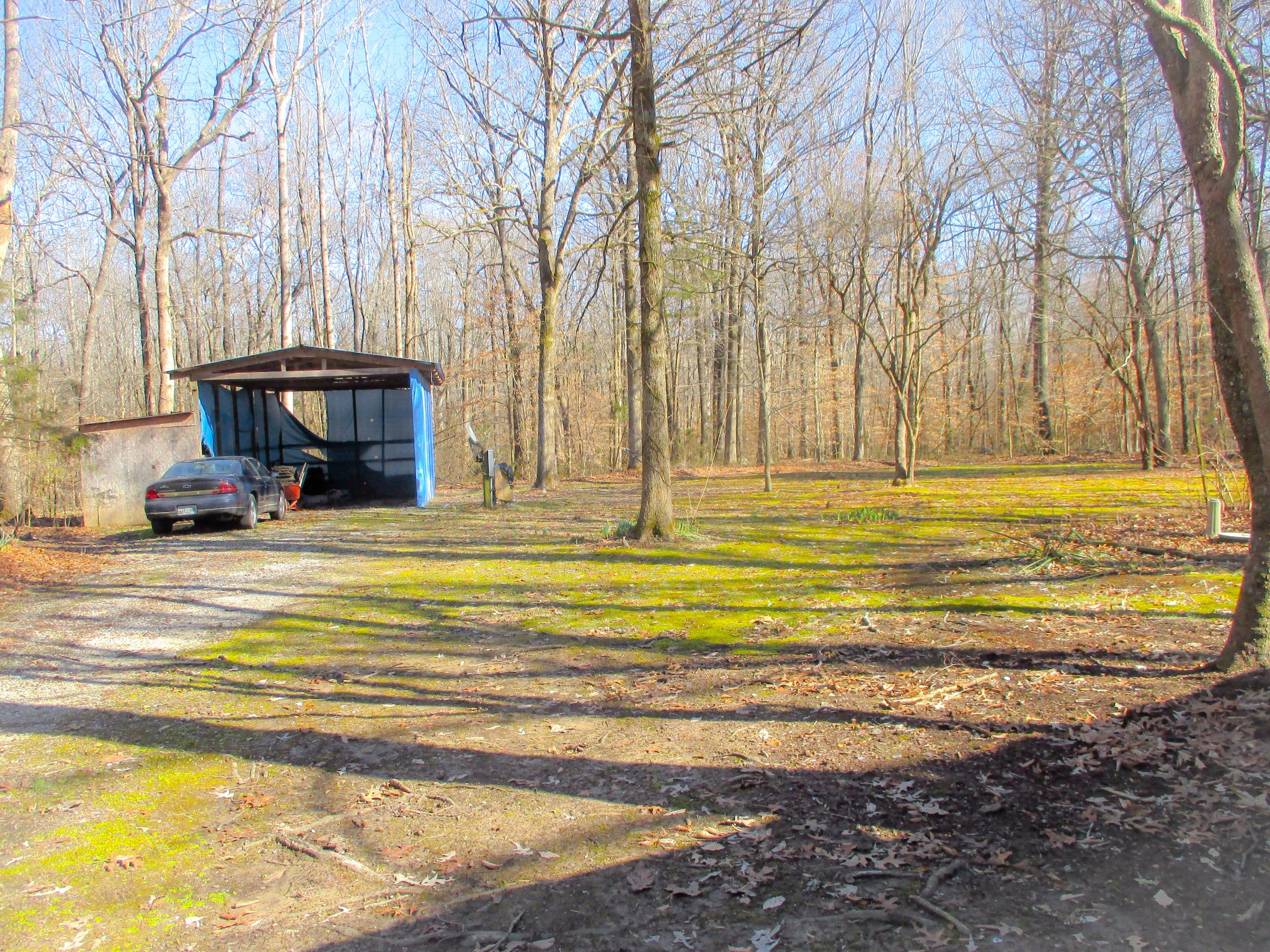 269 Tuck Road Estill Springs, TN 37330 - Photo 26 of 31 Gallery Image 26