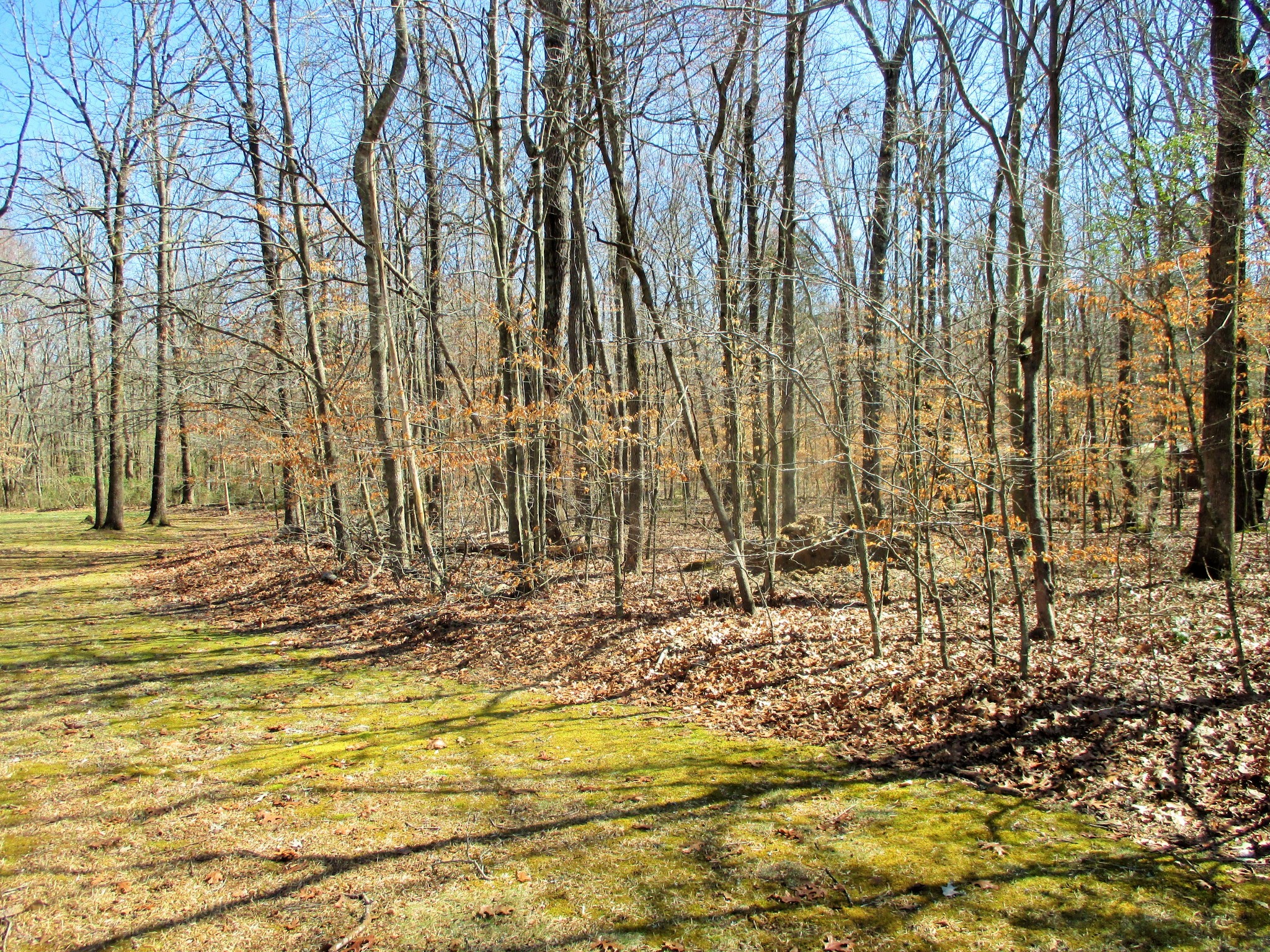 269 Tuck Road Estill Springs, TN 37330 - Photo 28 of 31 Gallery Image 28