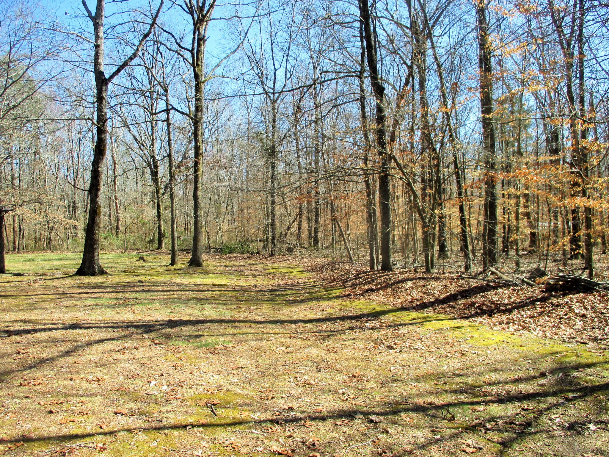 269 Tuck Road Estill Springs, TN 37330 - Photo 29 of 31 Gallery Image 29