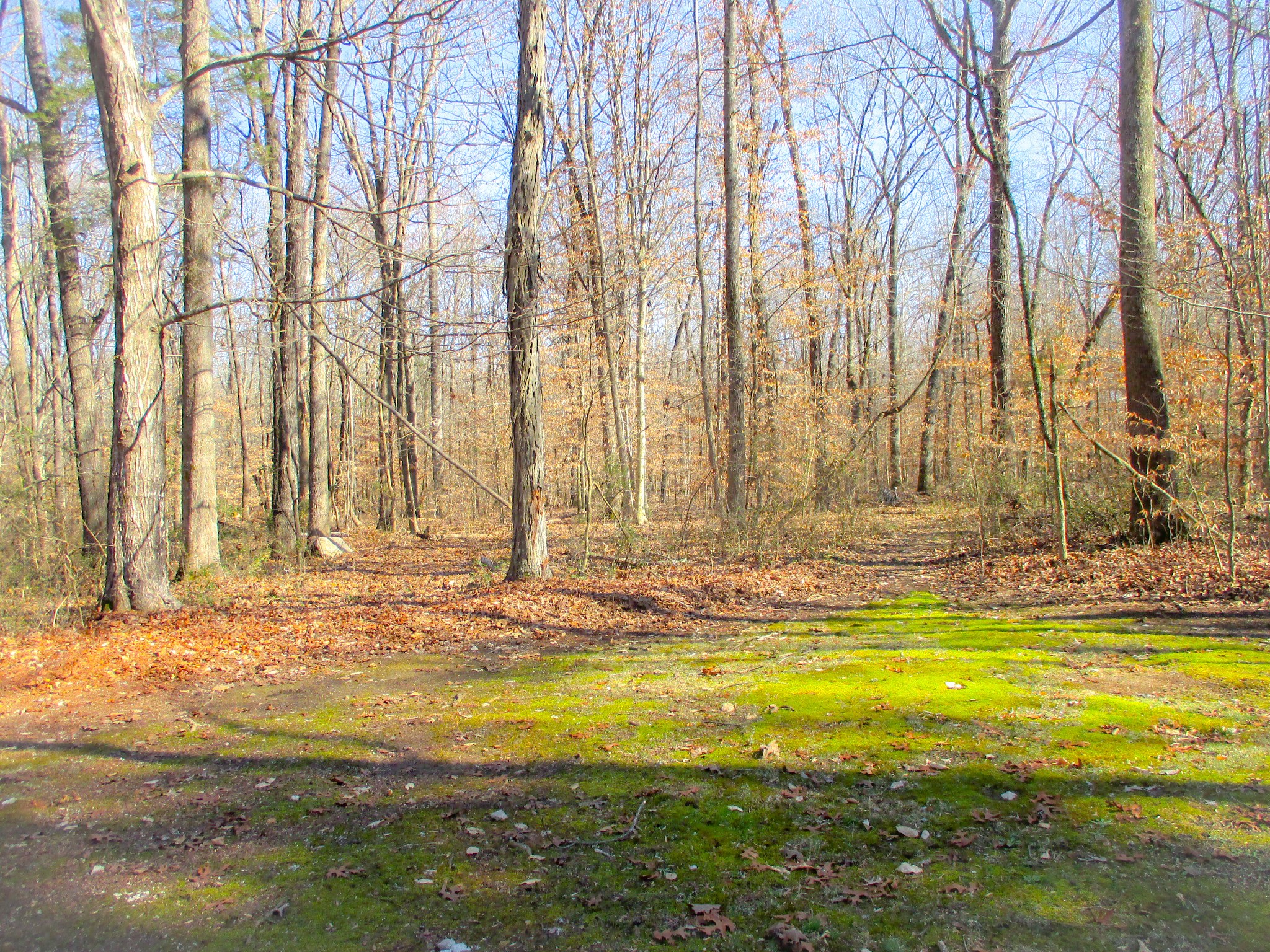 269 Tuck Road Estill Springs, TN 37330 - Photo 31 of 31 Gallery Image 31