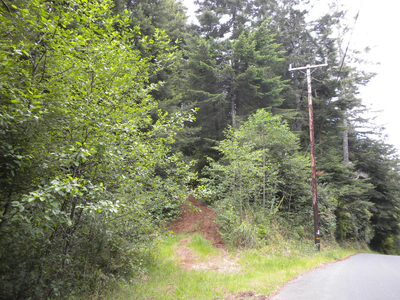 1 Fox Farm Road Trinidad, CA 95570 - Photo 1 of 1 Gallery Image 1