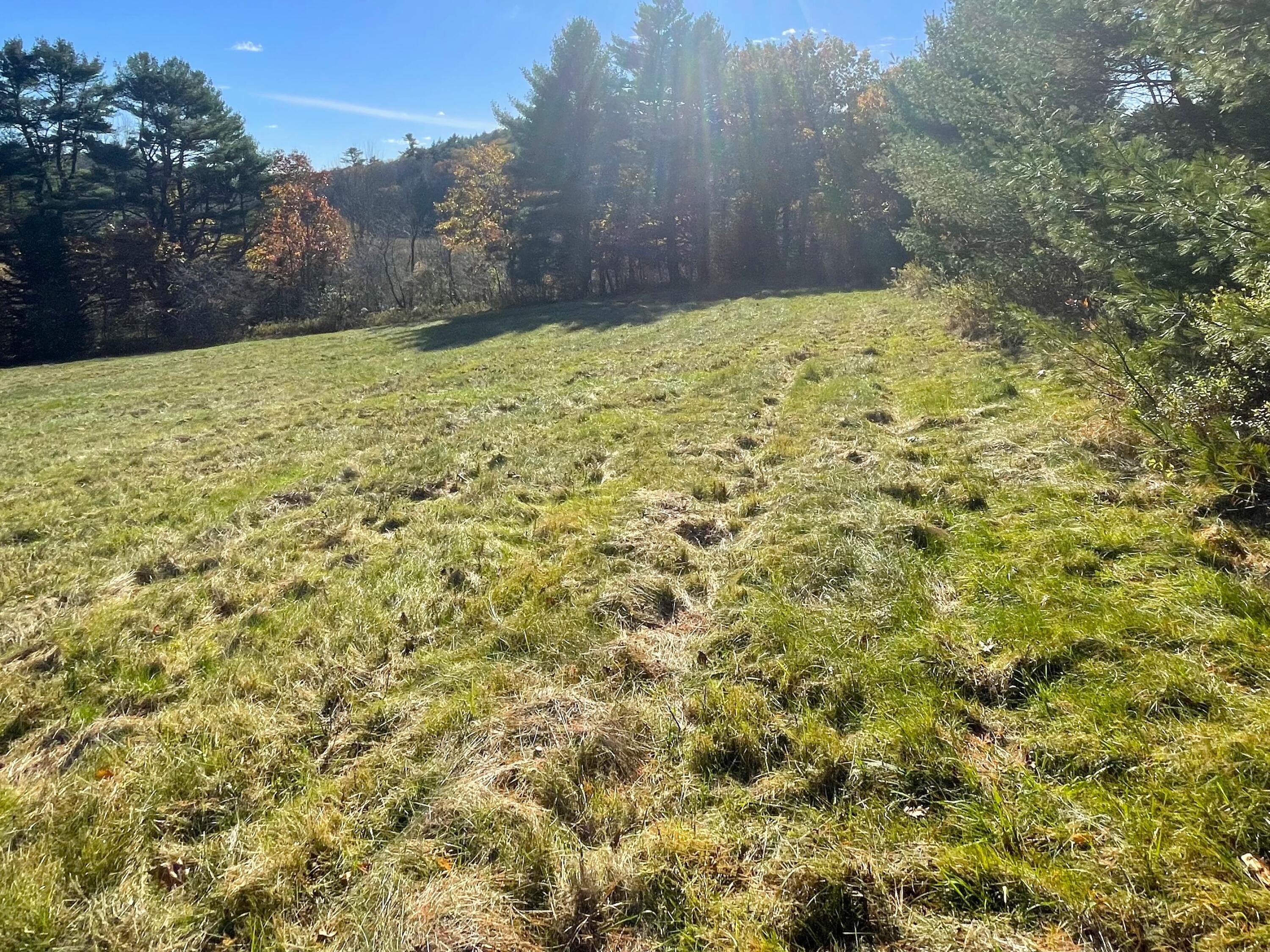 15.2 Mt Hunger Road West Edgecomb, ME 04556 - Photo 9 of 16 IMG_1538