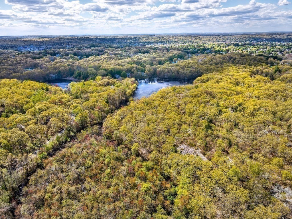 6 Patriot Way Melrose, MA 02176 - Photo 41 of 42