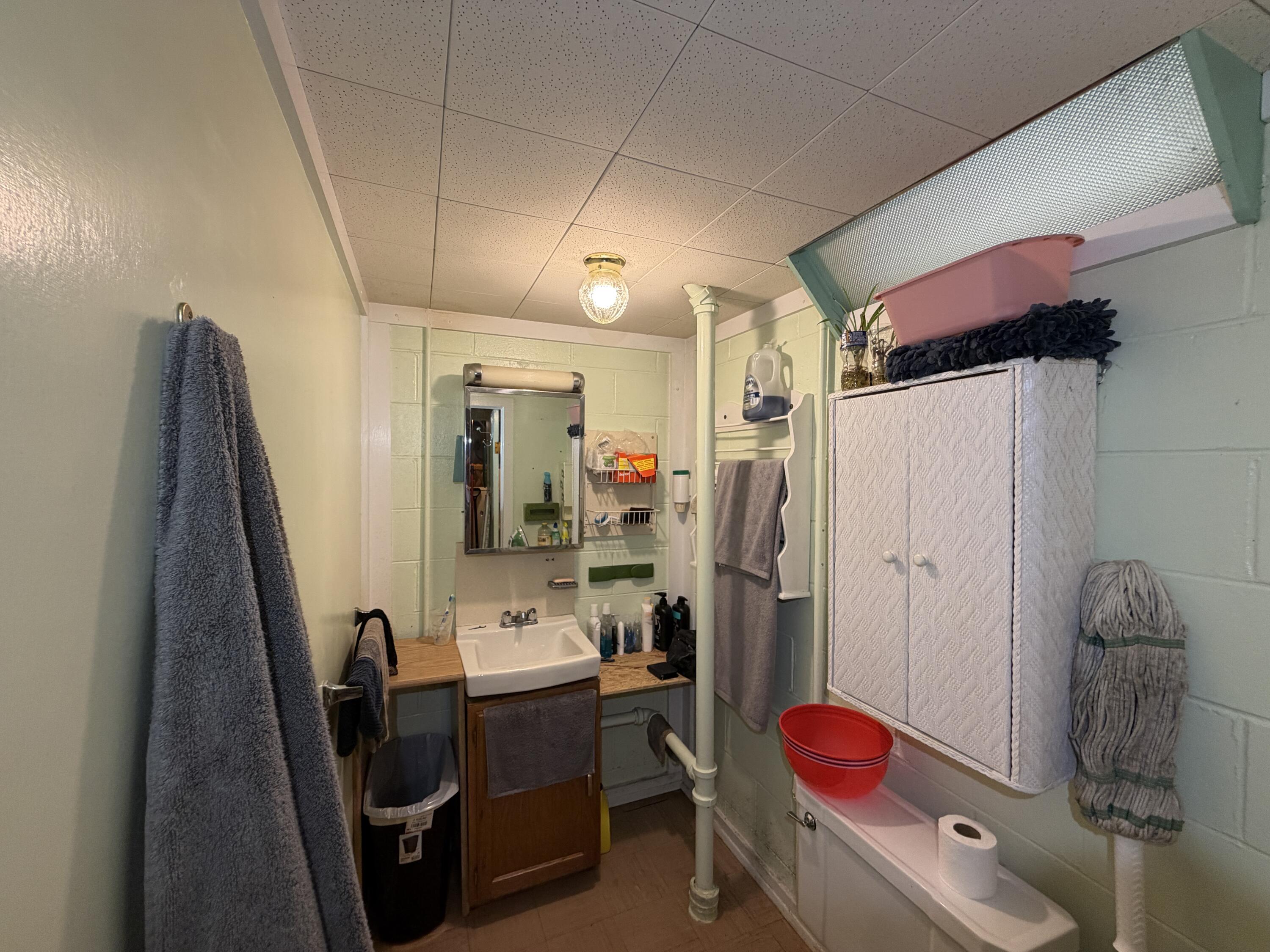 5713 West Calumet Road Milwaukee, WI 53223 - Photo 63 of 90 IMG_6641