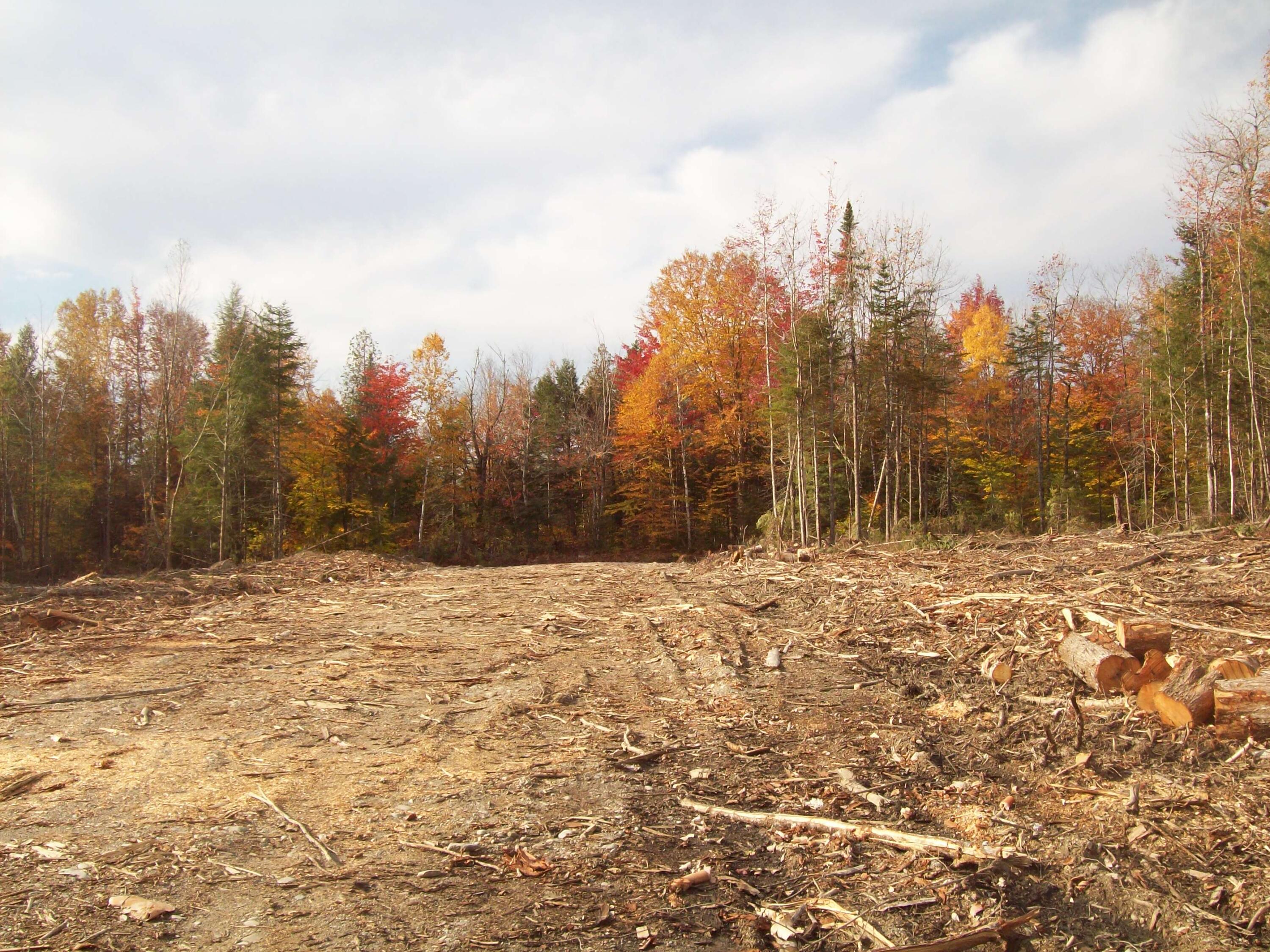 Tbd Tbd Road Carroll Plt, ME 04487 - Photo 12 of 12 100_2381