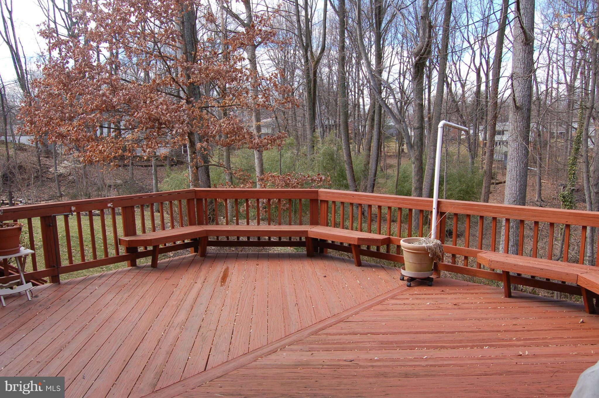 10 Briggs Court Silver Spring, MD 20906 - Photo 12 of 28 Exterior (Rear)