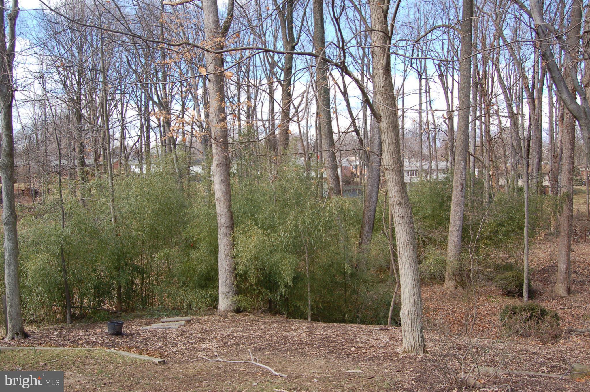 10 Briggs Court Silver Spring, MD 20906 - Photo 3 of 28 Exterior (Rear)