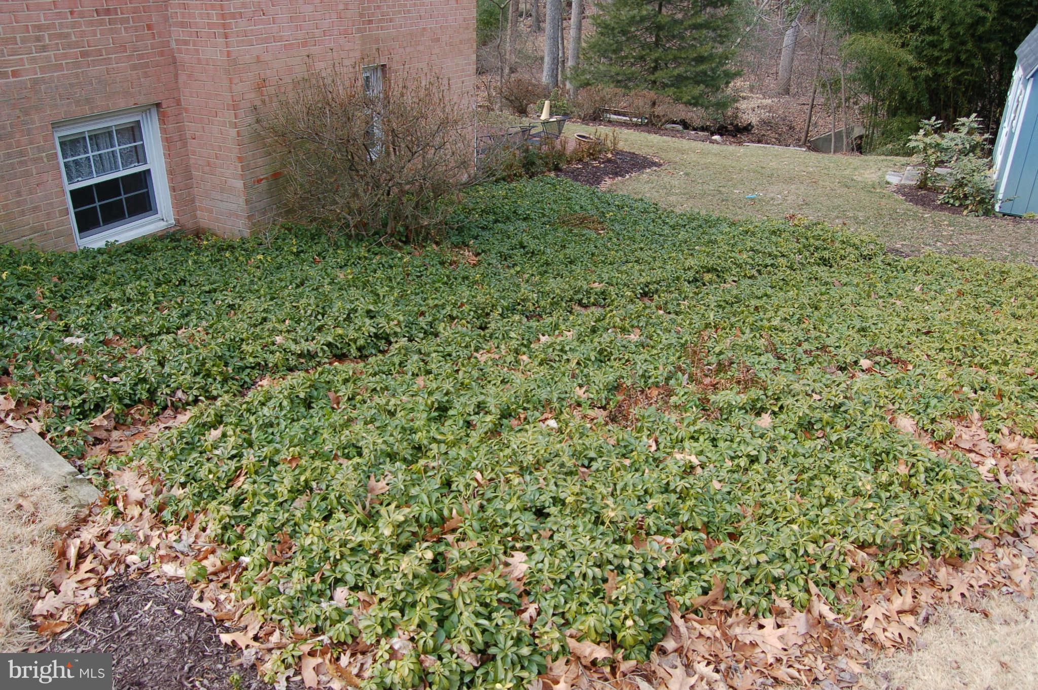 10 Briggs Court Silver Spring, MD 20906 - Photo 27 of 28 Exterior (General)