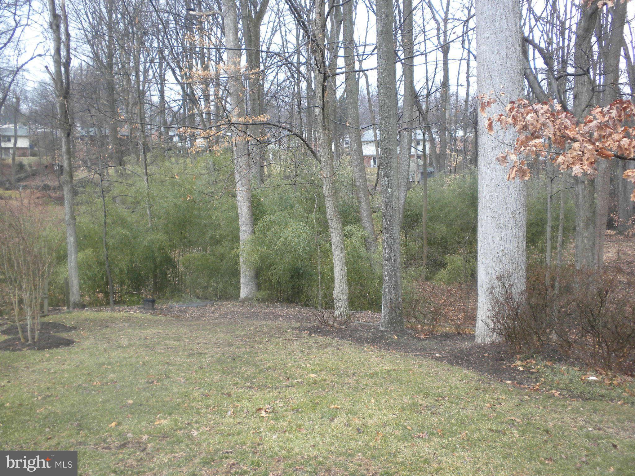 10 Briggs Court Silver Spring, MD 20906 - Photo 4 of 28 Exterior (Rear)