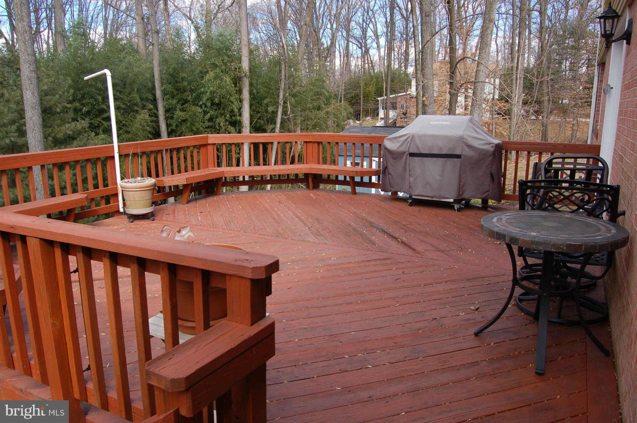 10 Briggs Court Silver Spring, MD 20906 - Photo 8 of 28 Exterior (Rear)