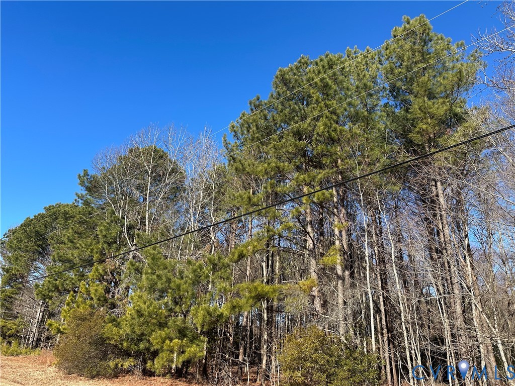 349 Taylors Beach Road Reedville, VA 22539 - Photo 11 of 18