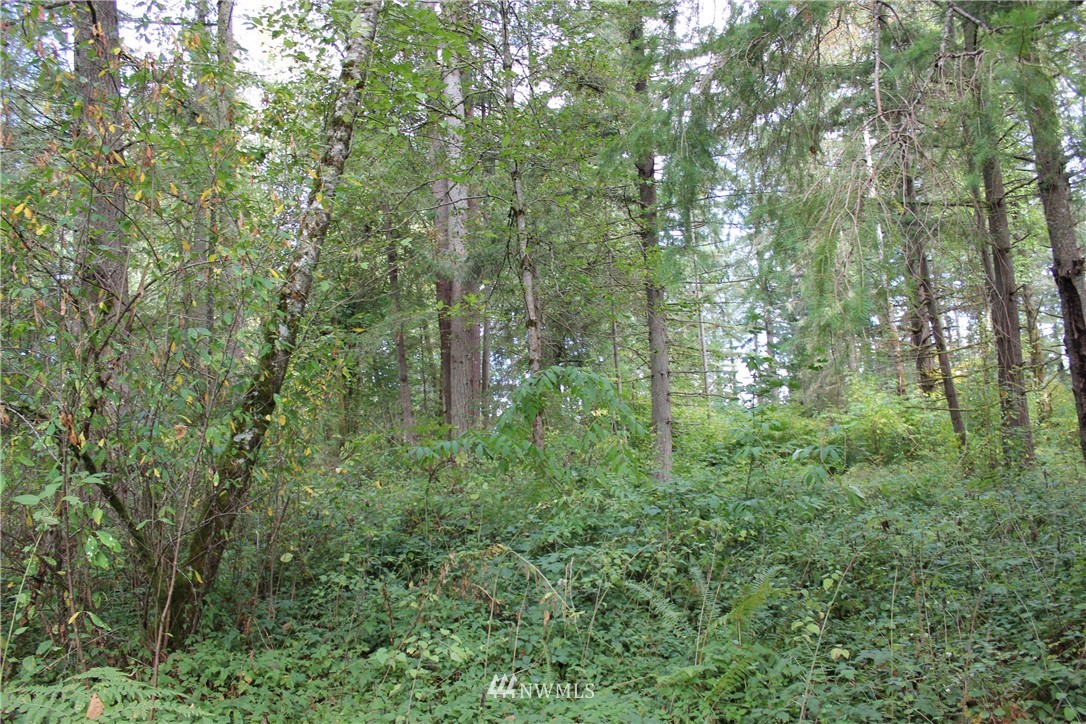 9424 Tilley Road Southwest Olympia, WA 98512 - Photo 12 of 18 Gallery Image 12