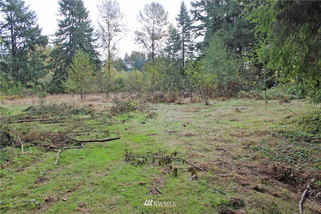 9424 Tilley Road Southwest Olympia, WA 98512 - Photo 4 of 18 Gallery Image 4