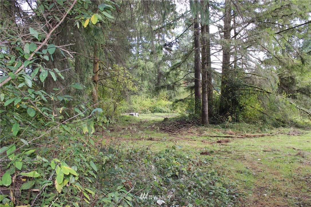 9424 Tilley Road Southwest Olympia, WA 98512 - Photo 8 of 18 Gallery Image 8