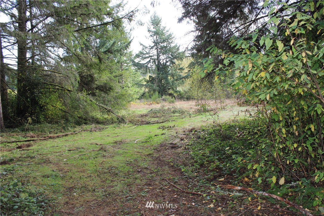 9424 Tilley Road Southwest Olympia, WA 98512 - Photo 10 of 18 Gallery Image 10