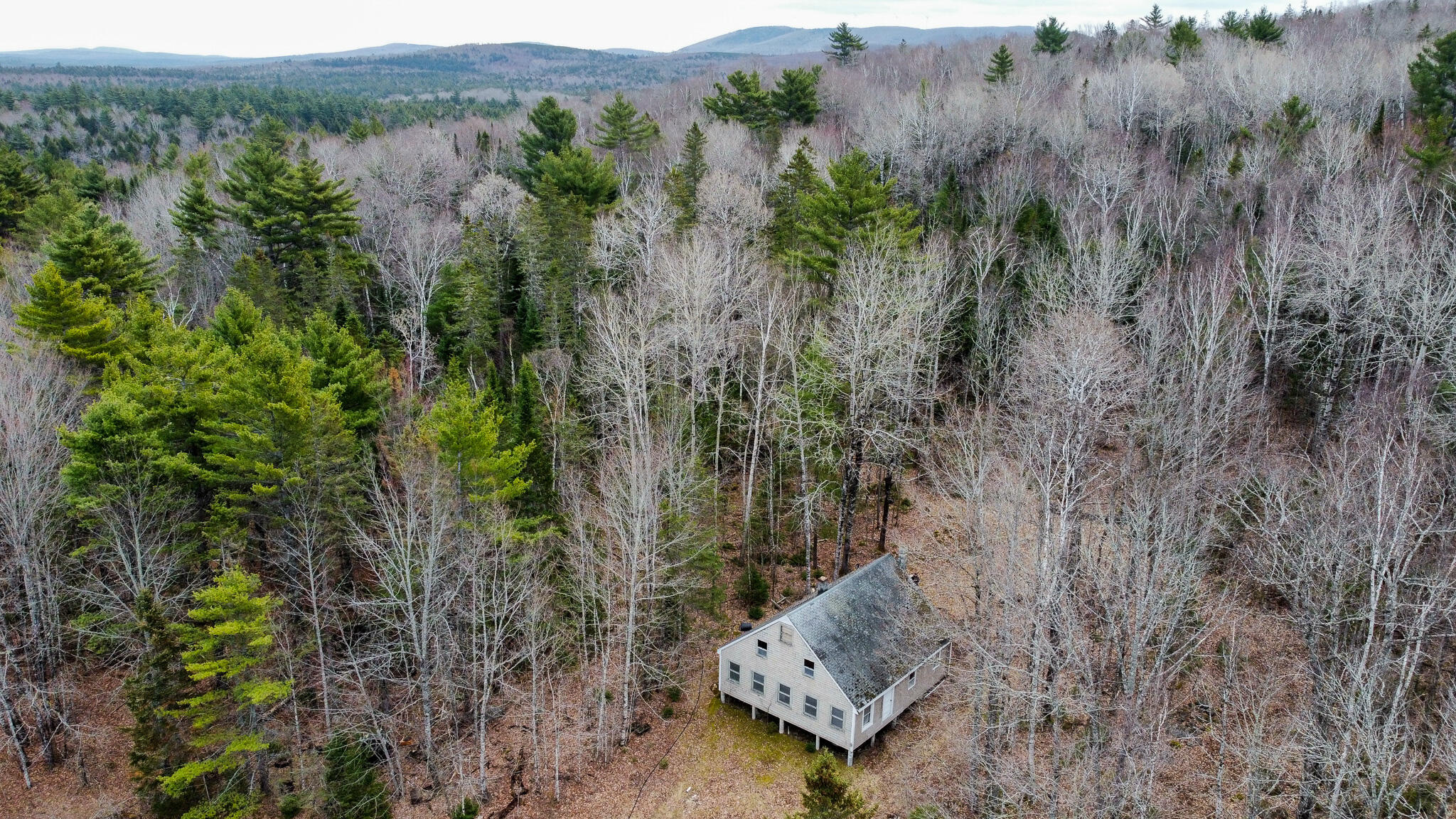 Lot 13 Fogg Brook Rd Summit Burlington, ME 04417 - Photo 3 of 19 3