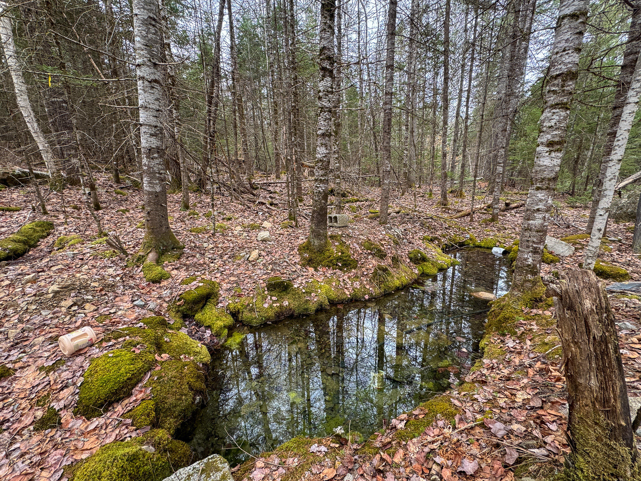 Lot 13 Fogg Brook Rd Summit Burlington, ME 04417 - Photo 6 of 19 6