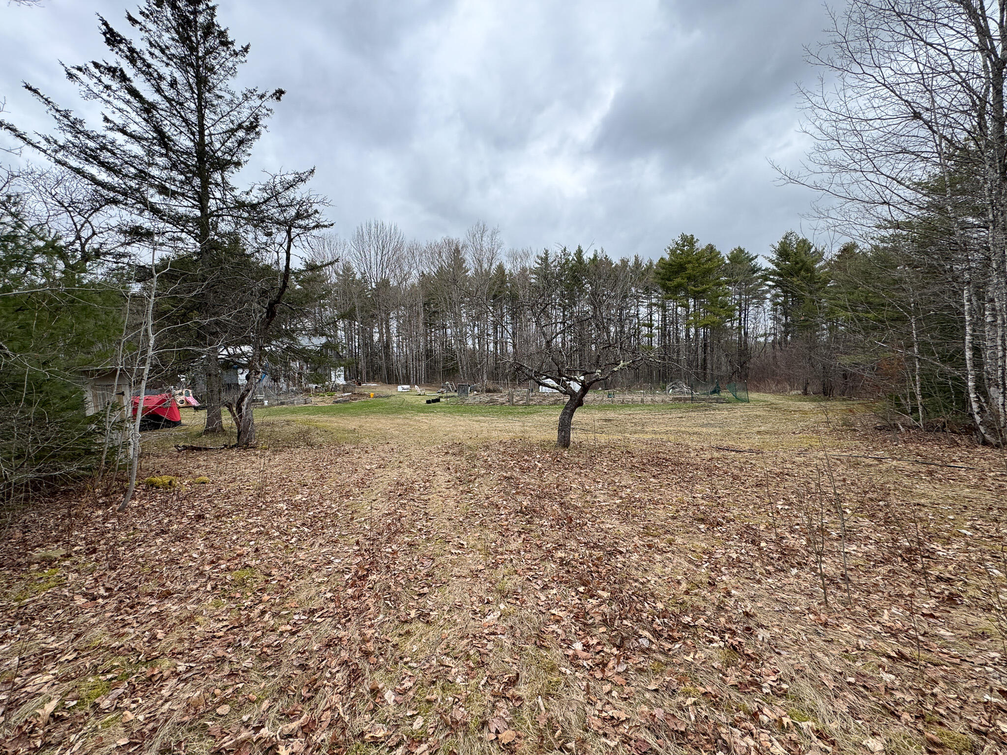 Lot 13 Fogg Brook Rd Summit Burlington, ME 04417 - Photo 8 of 19 8
