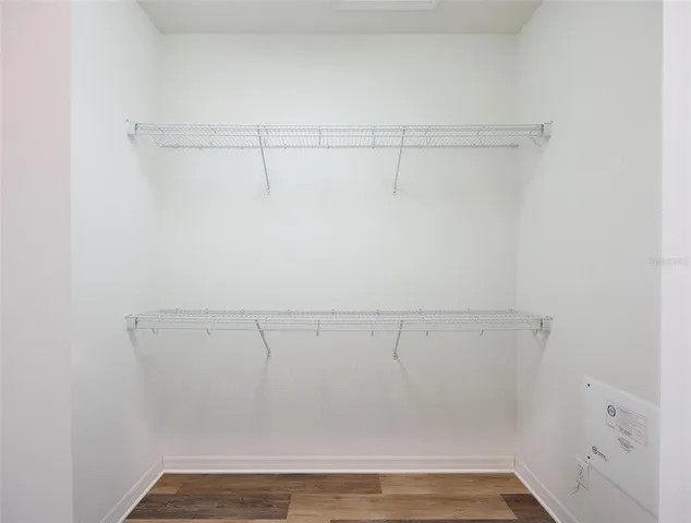 a view of swimming pool with chairs and palm tree