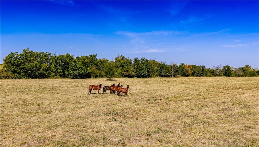 2243 Tomahawk Road Fort Scott, KS 66701 - Photo 78 of 82 Gallery Image 78