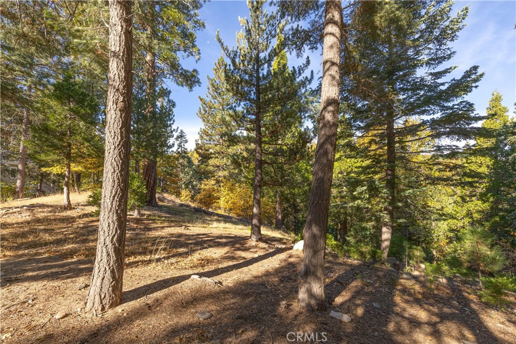 0 Golf Course Road Lake Arrowhead, CA 92352 - Photo 1 of 1