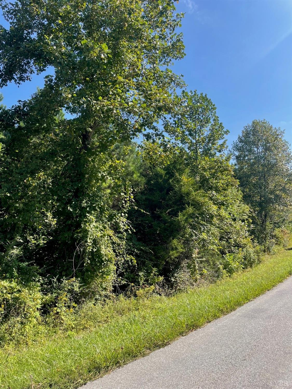 0 McIver Ferry Road Lynchburg, VA 24504 - Photo 1 of 3 a view of a garden