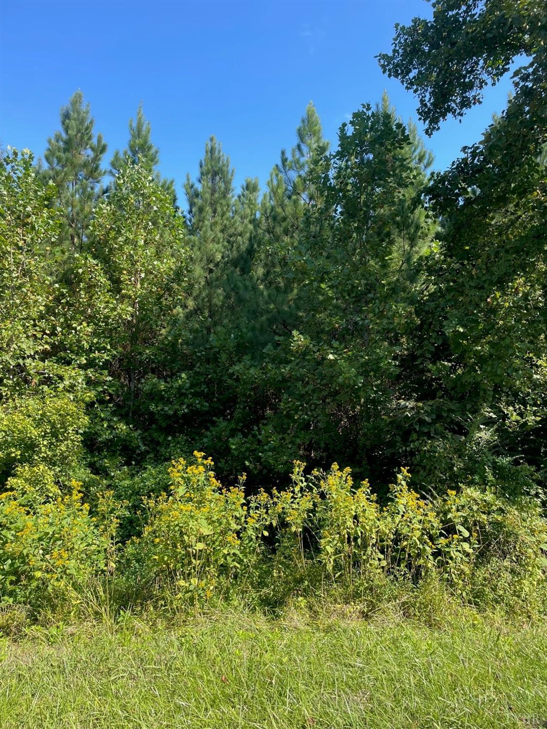 0 McIver Ferry Road Lynchburg, VA 24504 - Photo 2 of 3 a view of a garden