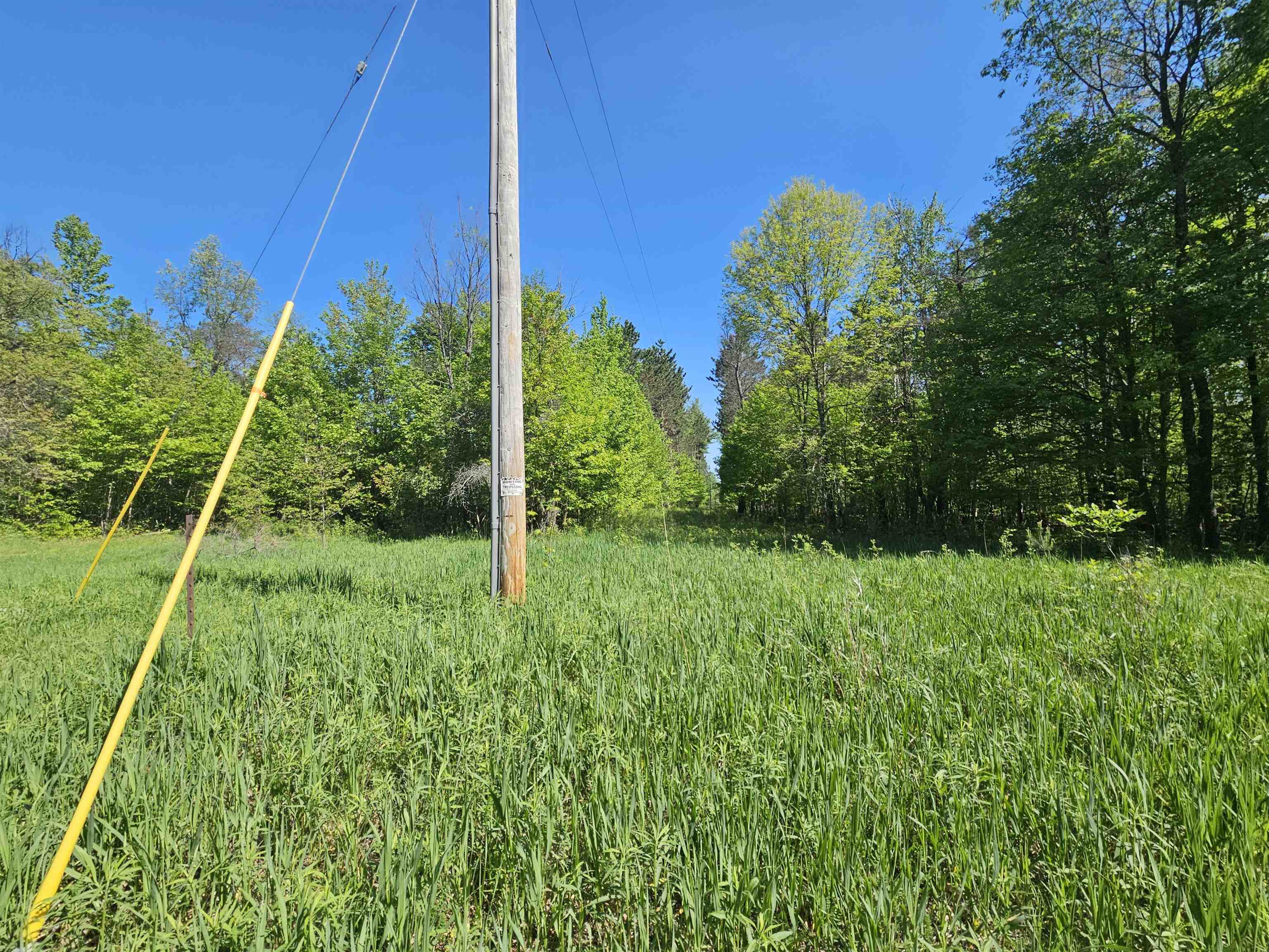 5350 East Cranberry Lake Road Harrison, MI 48625 - Photo 8 of 23
