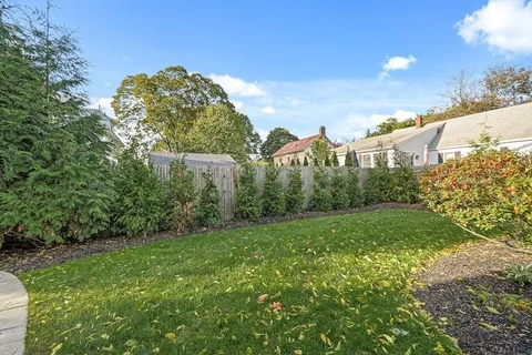 a view of a big yard with plants and a large tree