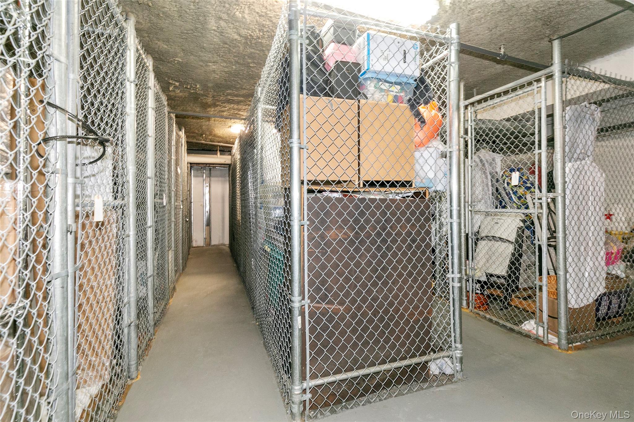 12 Bond Street, Unit 4C Great Neck, NY 11021 - Photo 26 of 34