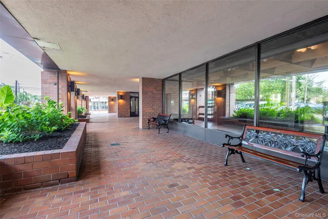 a living room with couch and a potted plant