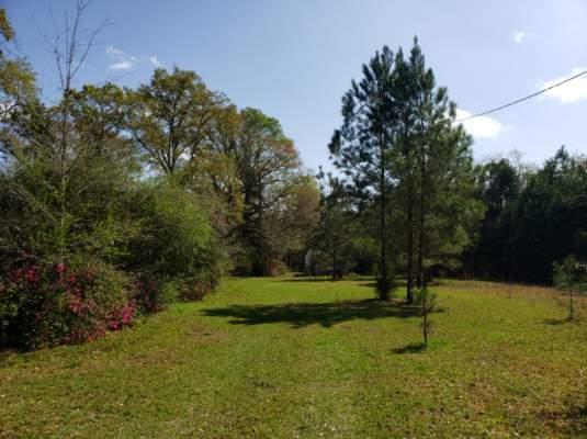 2797 Mt Zion Road Gordon, AL 36343 - Photo 1 of 1
