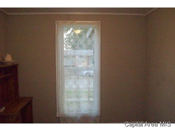 233 East Franklin Street Roodhouse, IL 62082 - Photo 3 of 7