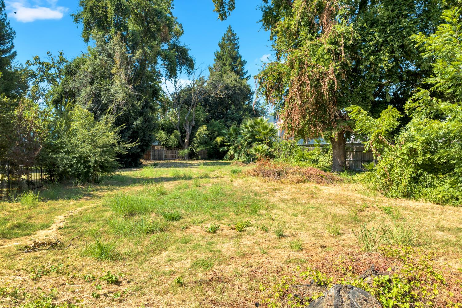 0 Riverside Boulevard Sacramento, CA 95822 - Photo 5 of 12 a swimming pool with trees in the background