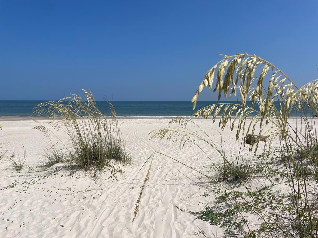 2 Indian Pass Road Port St. Joe, FL 32456 - Photo 14 of 21