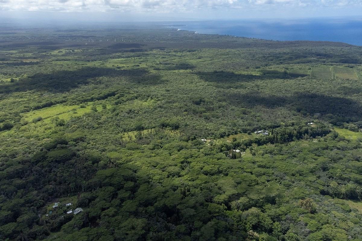 35 Noni Farms Road Pahoa, HI 96778 - Photo 2 of 9 a view of a field with an trees