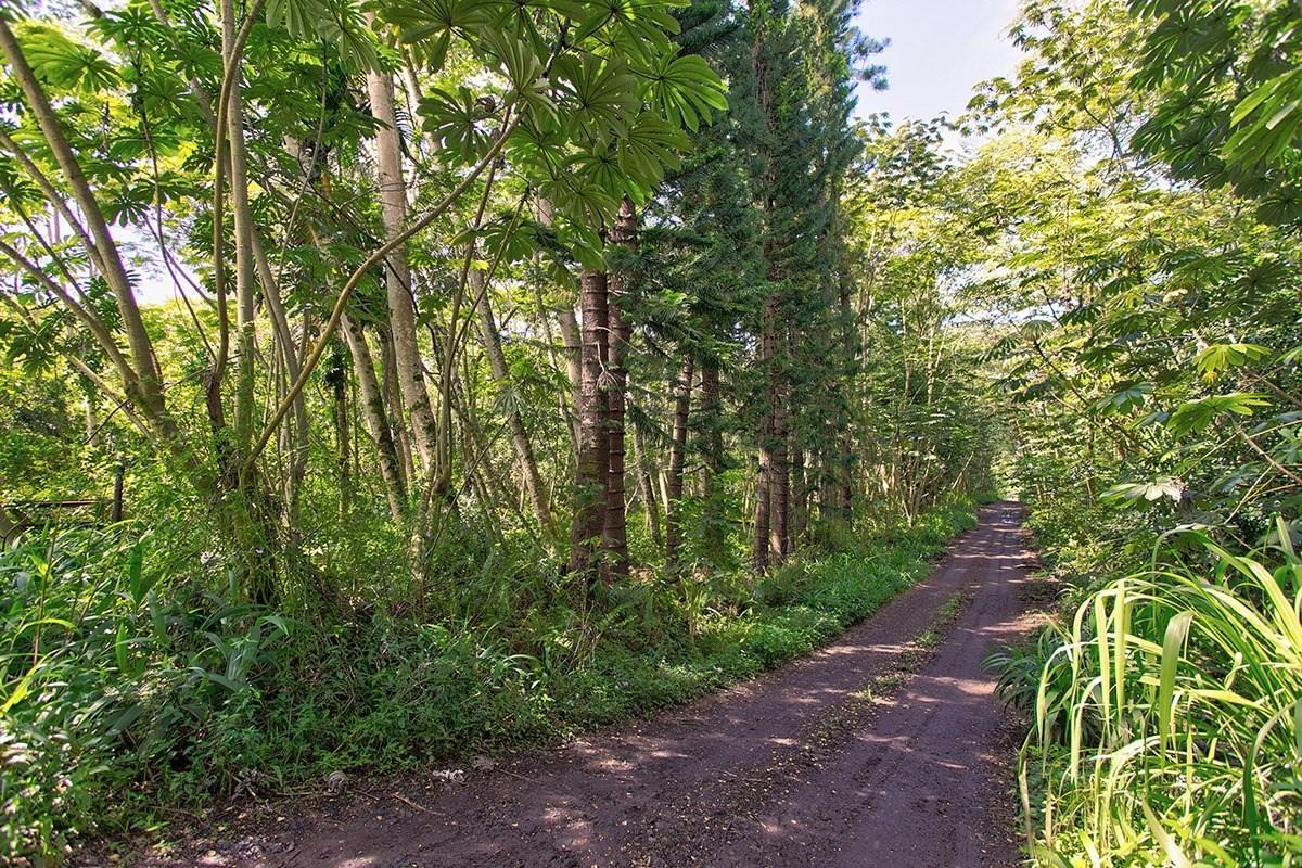 35 Noni Farms Road Pahoa, HI 96778 - Photo 6 of 9 a backyard of a house with lots of green space