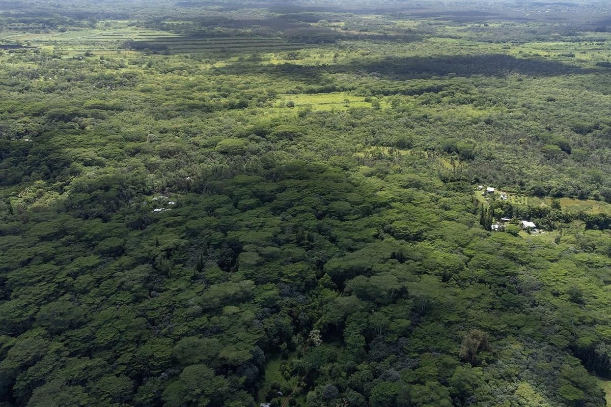 35 Noni Farms Road Pahoa, HI 96778 - Photo 9 of 9 a view of a yard with an outdoor space